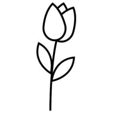 simple tulip
