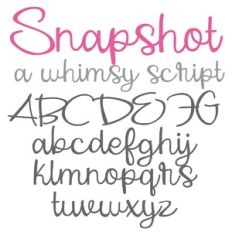 PN Snapshot