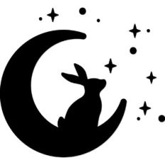 Magic Bunny Rabbit