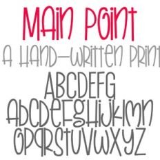 ZP Main Point
