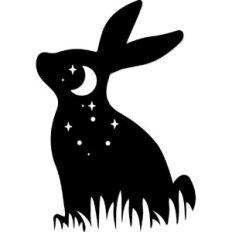 Rabbit in the Moon