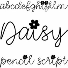 daisy pencil script font