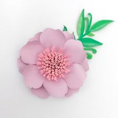 Flower 121