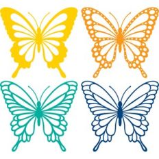 butterfly set