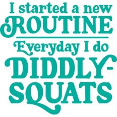 every day i do diddly-squats