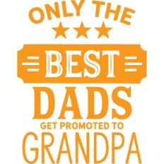 only the best dads get promoted to grandpa