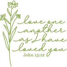 love one another as I have loved you
