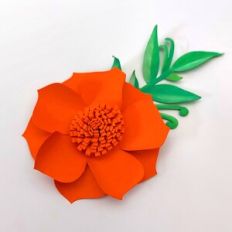Flower 123 with foliage