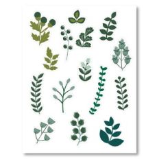 Leaf Sticker Pack