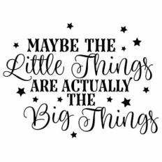 Maybe The Little Things Are Actually The Big Things