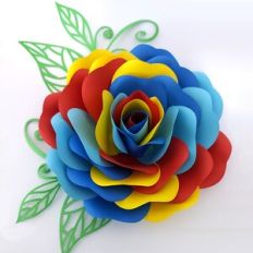 Giant Heart Flower with foliage