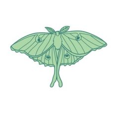 Luna Moth