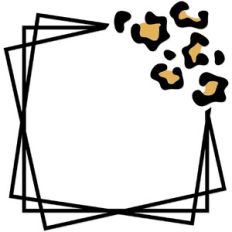 Geometric Frame Leopard Print
