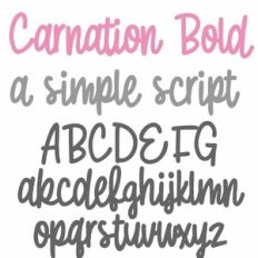 ZP Carnation Bold