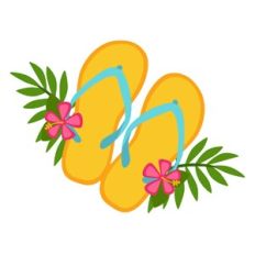 Flip Flops