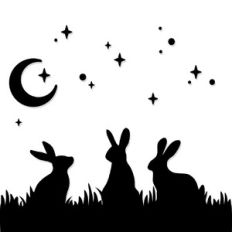 Rabbit Family Night Sky