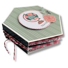 HEXAGONAL MINI ALBUM