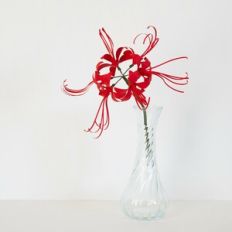 Spider Lily
