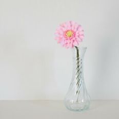 Gerbera