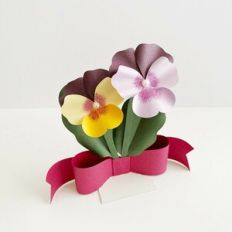 Pansies