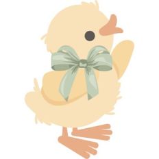 baby chick