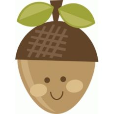 cute acorn