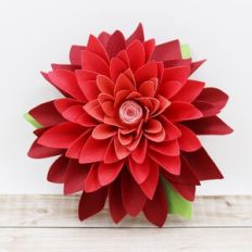 Spring Flower
