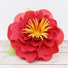 Spring Flower 3