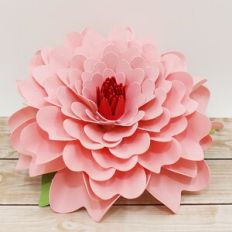 Spring Flower