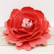 Spring Flower