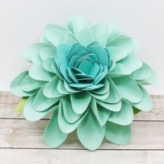 Spring Flower