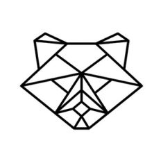 Raccoon Geometric 01