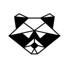 Raccoon Geometric 02