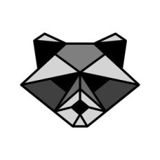 Raccoon Printable