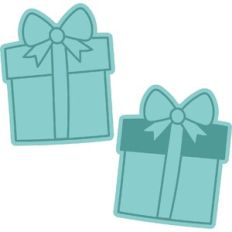 birthday present
