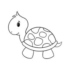 Little turtle