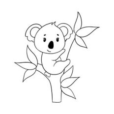little koala