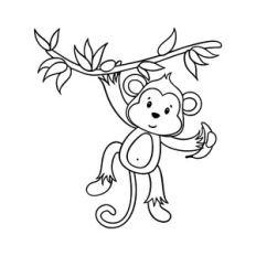 little monkey
