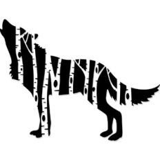 Birch Forest Wolf