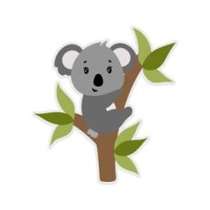 Koala on a branch