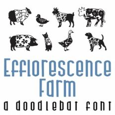 Efflorescence Farm Doodlebat Font