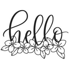 Hello Hydrangea Border