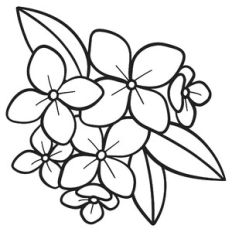 Floral Hydrangea Bouquet