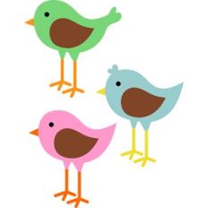 birds set