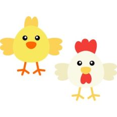 chicken and chick