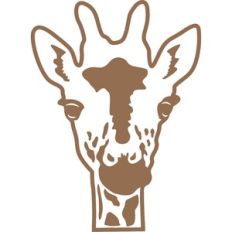 giraffe face