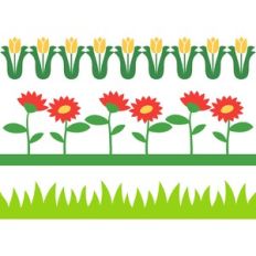 spring borders