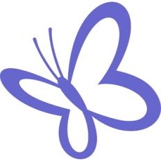 spring butterfly