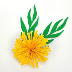 Flower 127