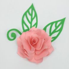 Flower 98 with foliage
